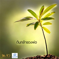 เพลง ต้นกล้าของพ่อ