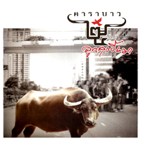 เพลง สาวดอย 4x4