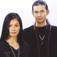 ไม้เมือง